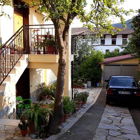 Villa Garden Berat Zewnętrze zdjęcie