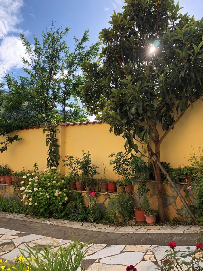 Villa Garden Berat Zewnętrze zdjęcie